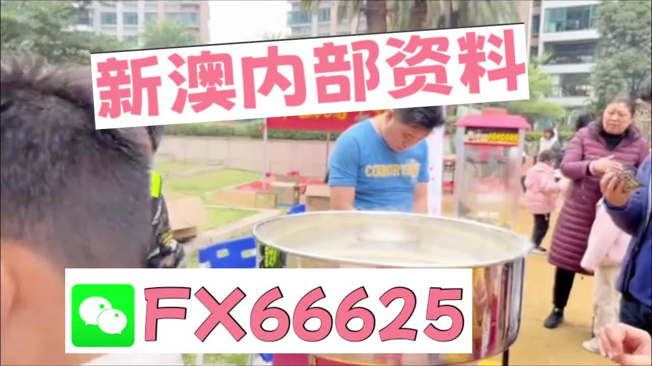 新奧2025正版資料大全，全面解析與深度探索，新奧2025正版資料大全，全面解析與深度探索揭秘