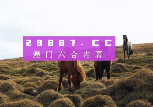 今晚澳門9點35分的彩票開獎，期待與驚喜交織的時刻，澳門今晚9點35分彩票開獎，期待與驚喜交匯的時刻