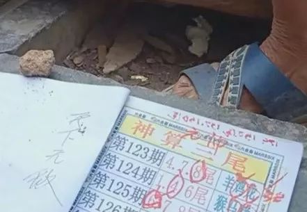 香港中特期期準(zhǔn)資料，深度解析與探索，香港中特期期準(zhǔn)資料深度解析與探索報告