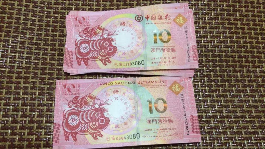 新澳門生肖走勢圖，深度解析與預(yù)測，澳門生肖走勢圖深度解析及預(yù)測報(bào)告