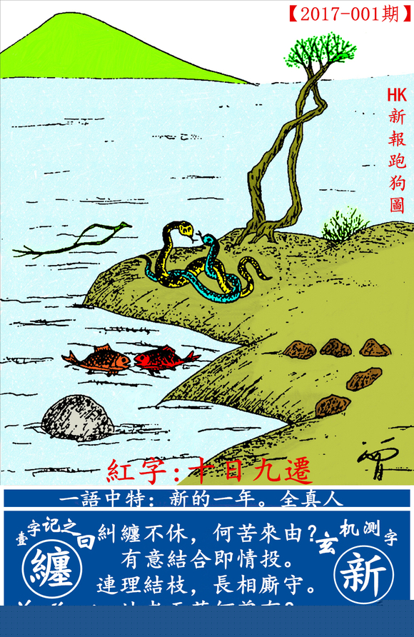 探索全新版跑狗圖，7777788888的魅力與策略，探索全新版跑狗圖，7777788888的魅力與攻略解析