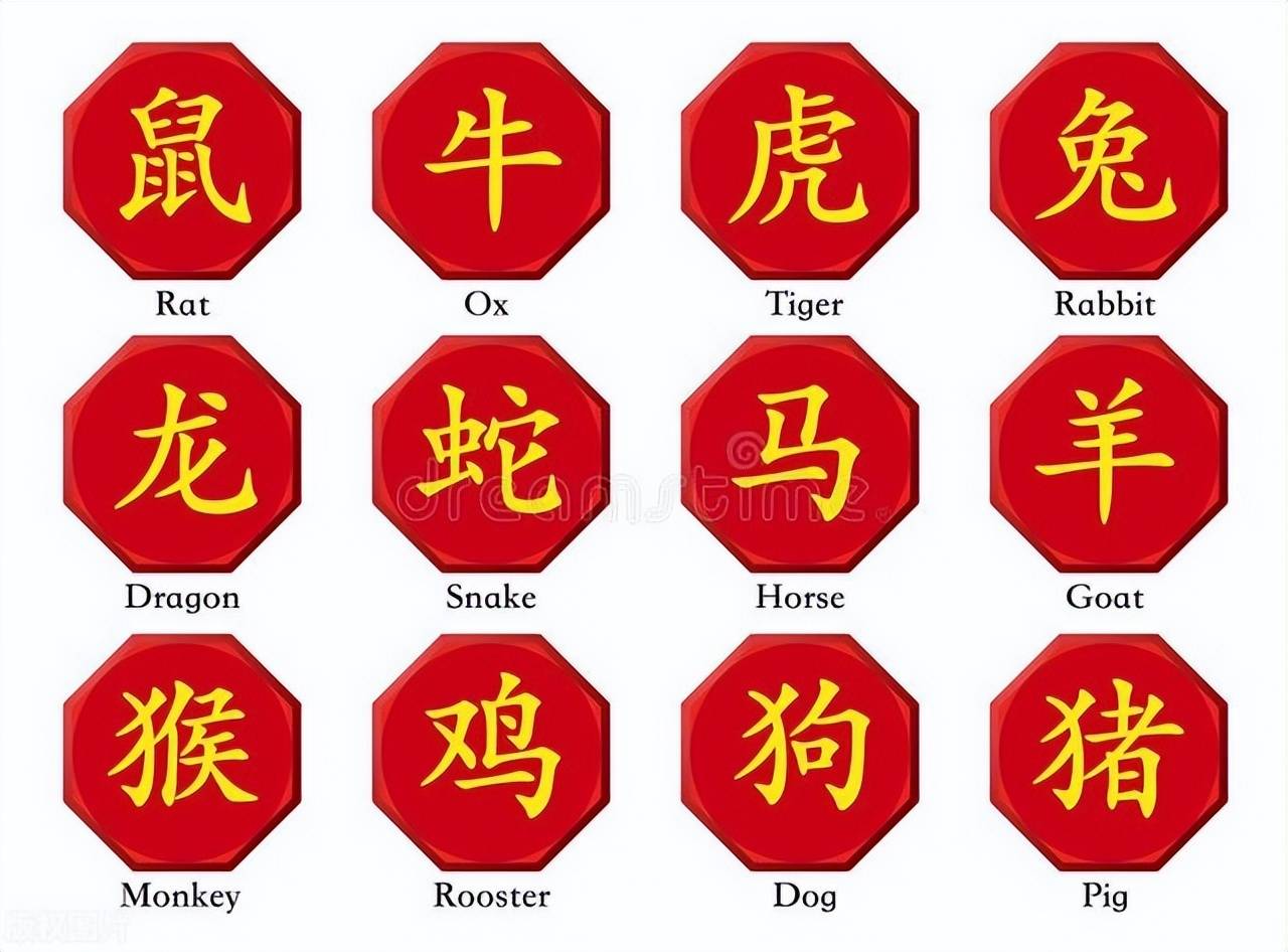 新澳特碼，羊?；⒏鲾?shù)10——揭秘背后的數(shù)字奧秘，揭秘新澳特碼數(shù)字奧秘，羊?；⒏鲾?shù)背后的秘密