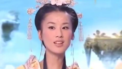曾道道人資料免費(fèi)大全，深度探索與解析，曾道道人資料深度解析與免費(fèi)大全探索