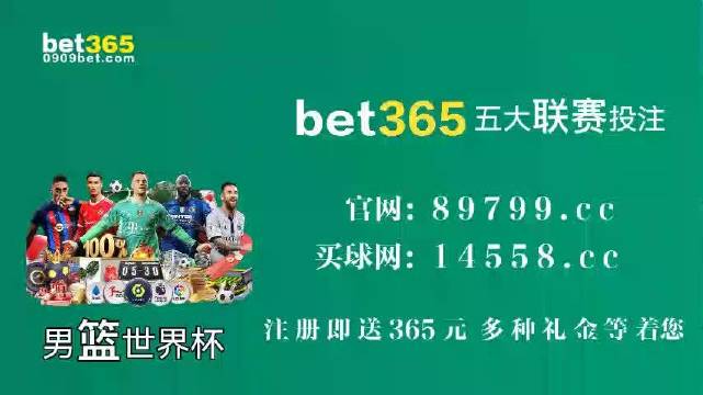 王中王中特馬王中王精準資料解析與SEO優(yōu)化策略探討，王中王中特馬精準資料解析與SEO策略探討