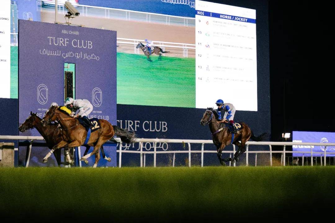 澳門特馬今晚開獎一，探索彩票背后的秘密與期待，澳門特馬今晚開獎，揭秘彩票背后的秘密與期待大獎的激動心情
