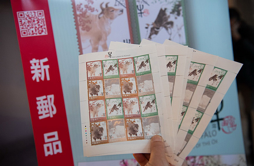 澳門值日生肖600圖庫與八百圖庫開獎，探索生肖圖庫的魅力與奧秘，澳門生肖圖庫開獎揭秘，探索值日生肖600圖庫與八百圖庫的魅力與奧秘