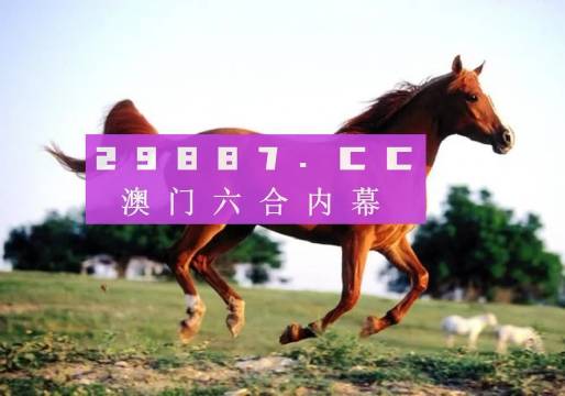 澳門狀元紅網(wǎng)站免費資料，探索與深入了解，澳門狀元紅網(wǎng)站免費資料探索揭秘