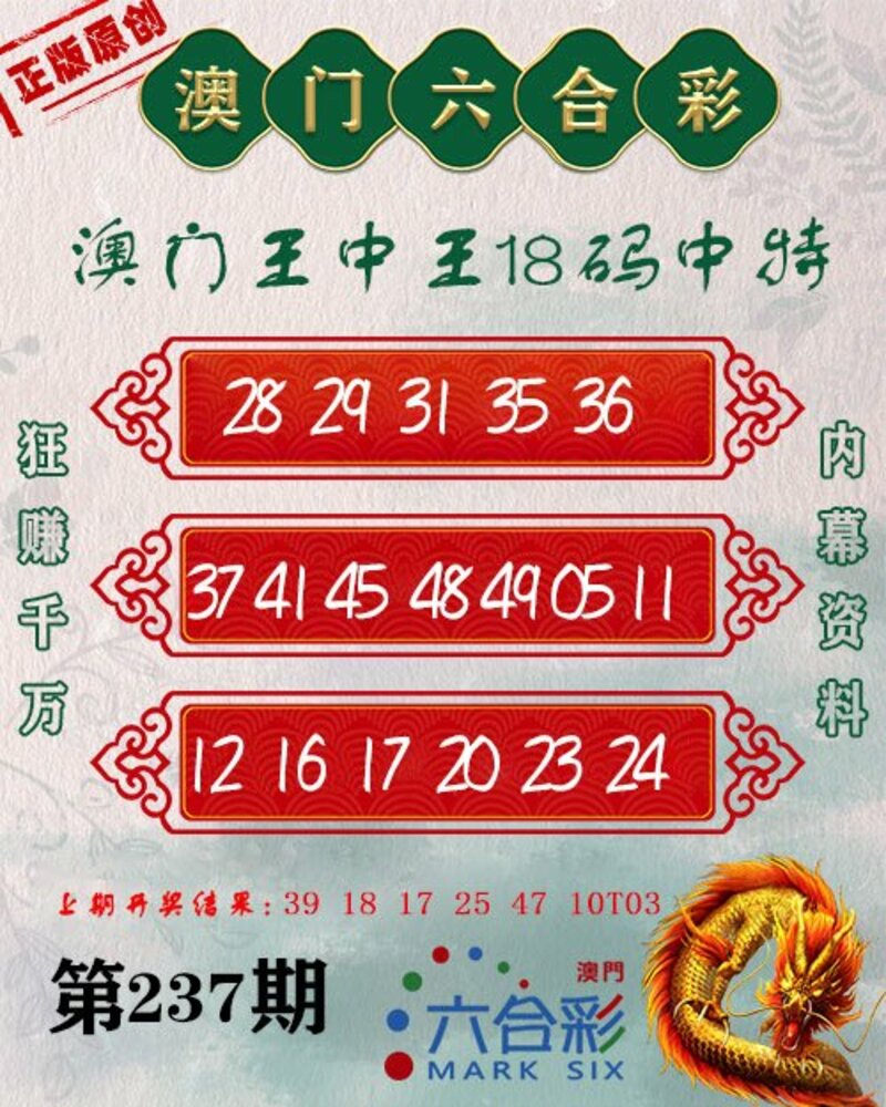 新澳門王中王期期中，探索與解析，新澳門王中王期期中，深度探索與解析