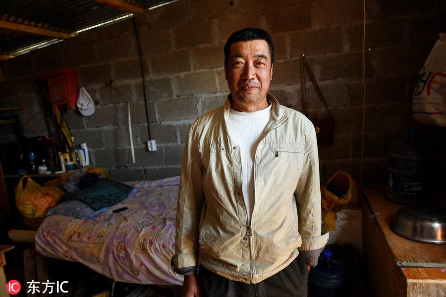 博科圣地組織，深度解析與理解，博科圣地組織深度解析與探究
