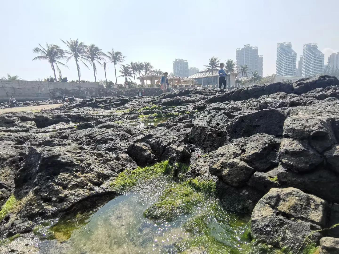 解放海南島電視劇全集下載，探尋30集完整劇情，解放海南島電視劇全集下載，探尋完整的30集劇情探索