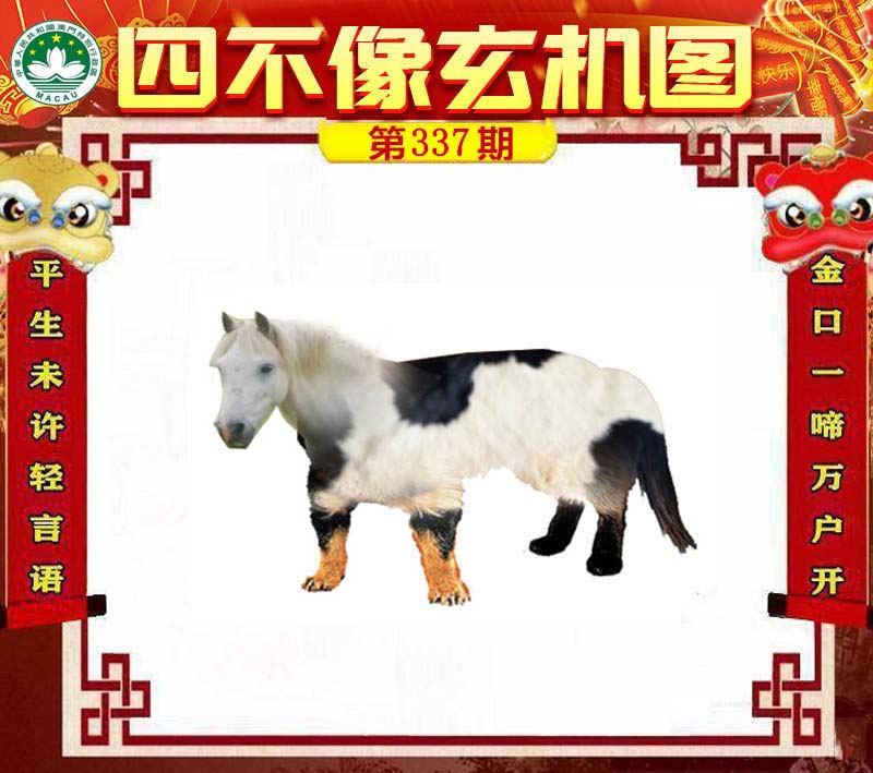 王中王四不像肖一肖中特，探索神秘現(xiàn)象背后的真相，神秘現(xiàn)象背后的真相探索，王中王四不像肖一肖中特揭秘