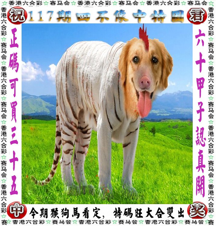 王中王四不像一肖論壇，探索神秘論壇的世界，王中王四不像一肖論壇，神秘論壇世界的探索之旅