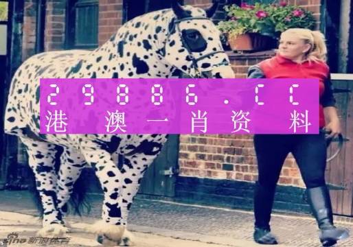 香港網(wǎng)址王中王一肖中特，探索與解析，香港網(wǎng)址王中王一肖中特，深度探索與解析