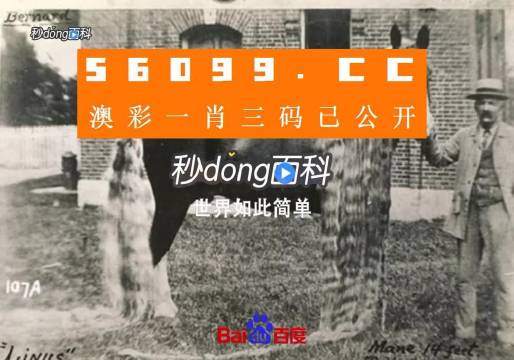 澳門(mén)王中王心水王中王，探索與解析，澳門(mén)王中王心水奧秘，深度探索與解析