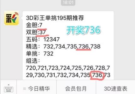 王中王一肖中特4993，深度解析與探索，王中王一肖中特4993深度解析與探索報(bào)告