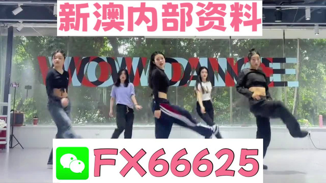 新澳精準資料免費提供，探索與實踐的指南，新澳精準資料免費分享，探索與實踐的導(dǎo)航指南