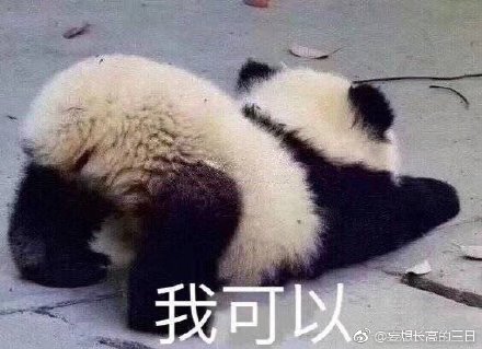 澳門精準四不像最新正版，揭秘與探索，澳門精準四不像揭秘與探索最新正版資訊