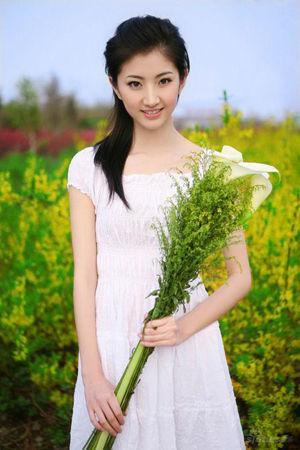 新澳門(mén)生肖走勢(shì)圖精準(zhǔn)版，解讀與SEO策略，新澳門(mén)生肖走勢(shì)圖精準(zhǔn)解讀與SEO策略揭秘