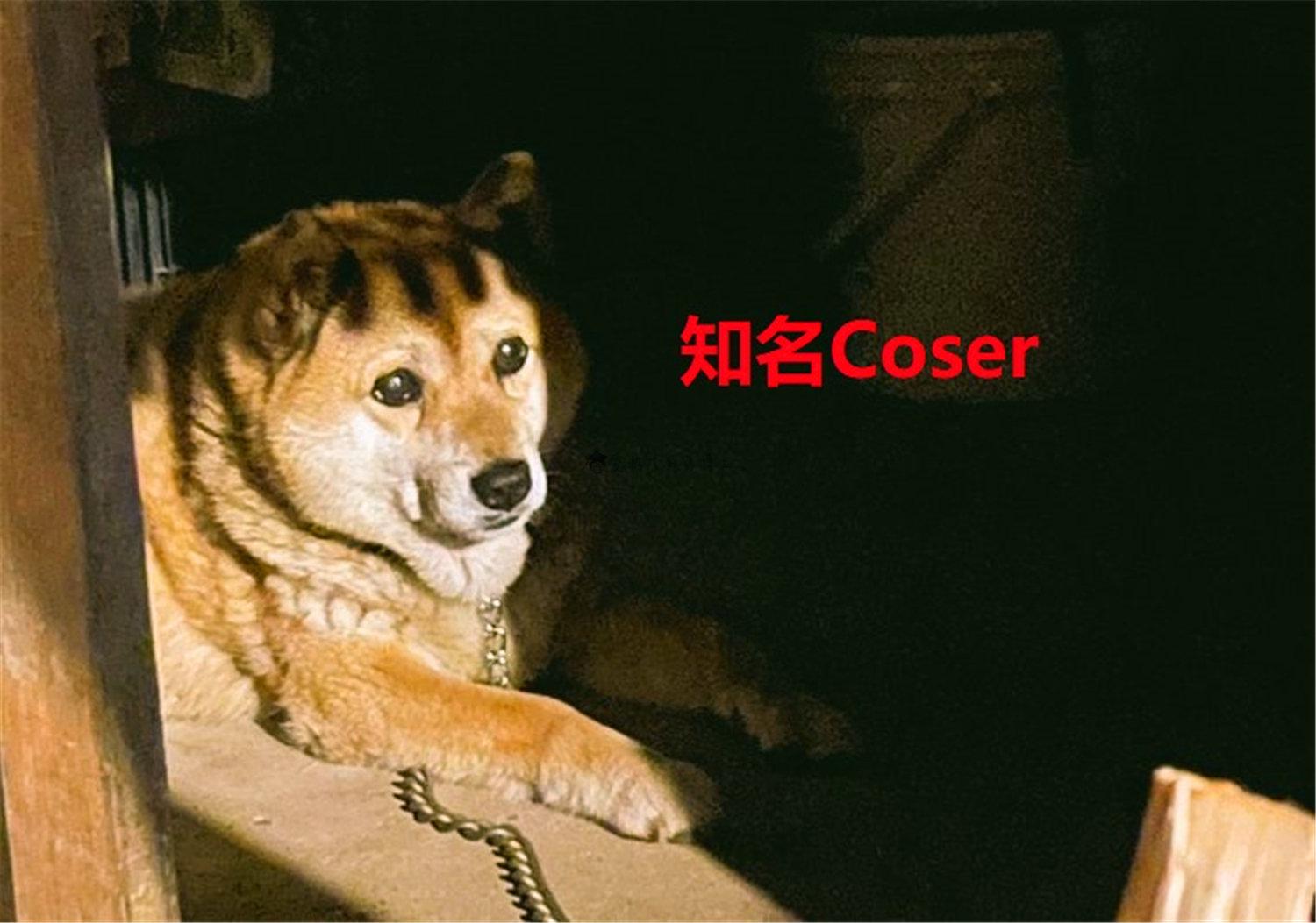 豬狗同行王中王，猜一肖，深度解析與SEO優(yōu)化，豬狗同行王中王猜謎解析與SEO優(yōu)化技巧，深度解析揭秘生肖之謎