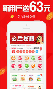 王中王欲錢(qián)請(qǐng)猜一肖，揭秘生肖之謎與SEO策略，揭秘生肖之謎與SEO策略，王中王欲錢(qián)請(qǐng)猜一肖的奧秘
