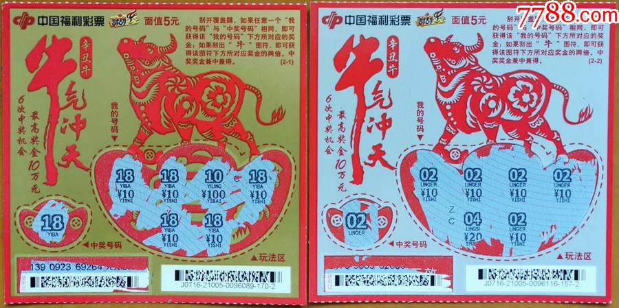 王中王19期指一生肖——探尋背后的奧秘與意義，王中王19期指一生肖，背后的奧秘與意義探尋