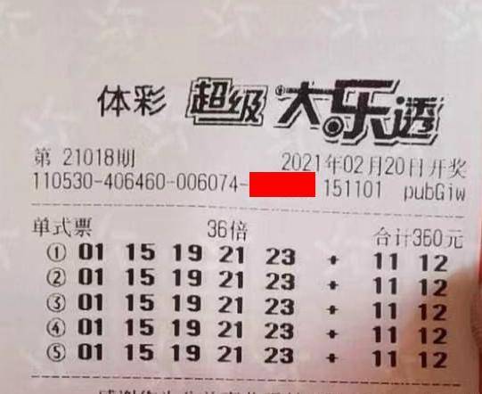 王中王018期指一生肖，揭秘背后的奧秘與意義，揭秘生肖奧秘，王中王生肖背后的意義與秘密