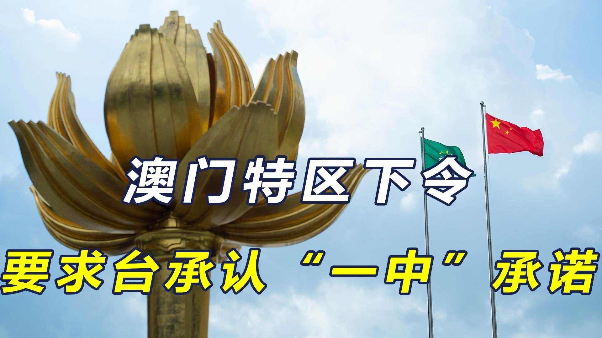 澳門一碼一肖一特一中直播，探索與體驗(yàn)獨(dú)特的娛樂(lè)盛宴，澳門一碼一肖直播，獨(dú)特娛樂(lè)盛宴的探索與體驗(yàn)