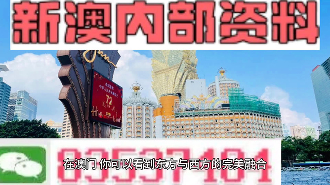 新澳新澳門正版資料，探索與解析，新澳新澳門正版資料深度解析與探索