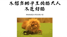 王中王013期指一生肖——探尋背后的秘密與奧秘，王中王013期生肖揭秘，探尋背后的秘密與奧秘之旅