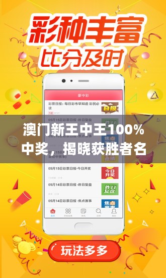 王中王藏寶閣猜一肖，揭秘背后的秘密與SEO策略，王中王藏寶閣猜一肖背后的秘密與SEO策略揭秘