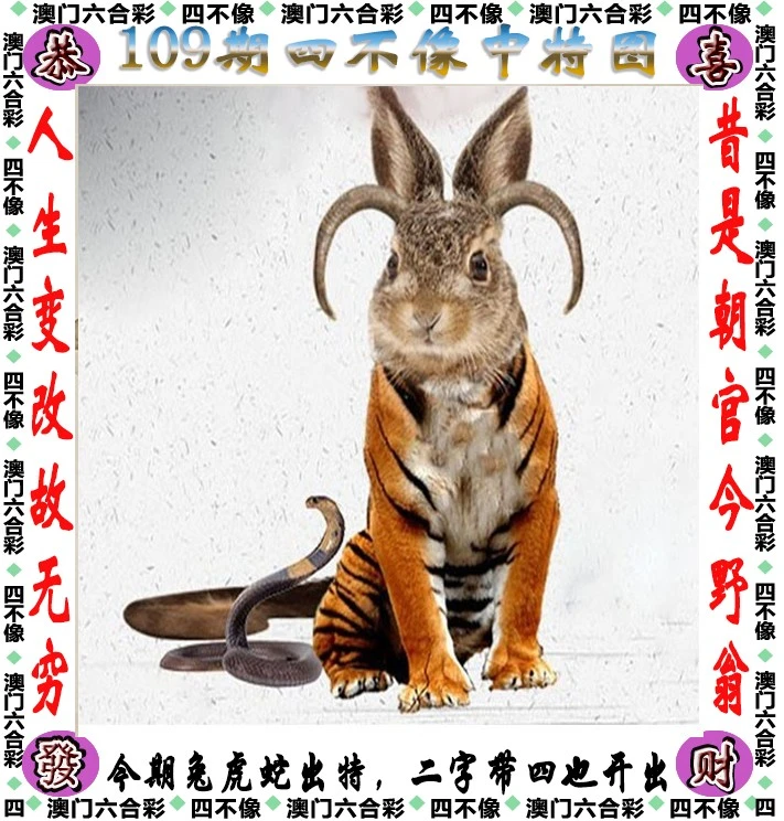 王中王四不像必中一肖——揭秘背后的秘密，揭秘王中王四不像必中一肖的秘密真相