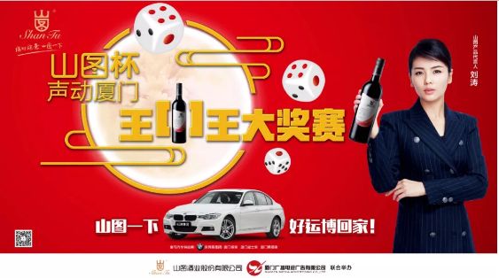揭秘王中王背后的故事，從肖中的視角看其在SEO領(lǐng)域的輝煌成就，肖中視角下的王中王，SEO領(lǐng)域的輝煌成就揭秘