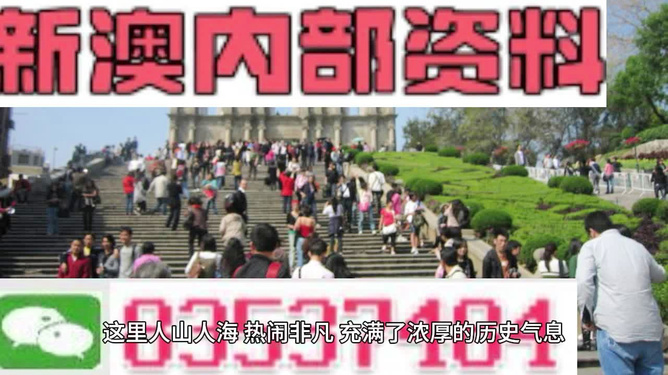 澳門最精準免費資料大全旅游團，探索澳門之旅的完美選擇，澳門最精準免費資料大全旅游團，探索澳門之旅的不二之選