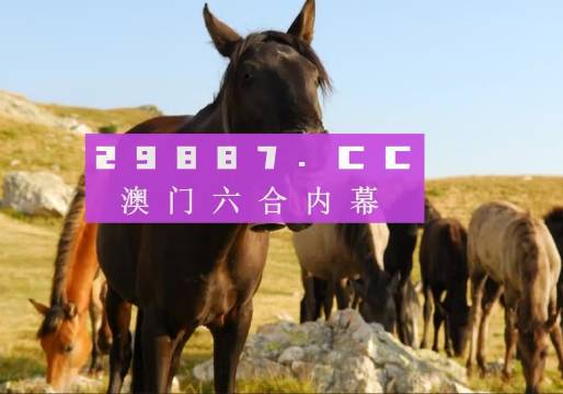 澳門管家婆一肖一碼精準(zhǔn)預(yù)測(cè)——揭秘精準(zhǔn)度背后的秘密，澳門管家婆一肖一碼精準(zhǔn)預(yù)測(cè)揭秘，預(yù)測(cè)背后的秘密與準(zhǔn)確度探討