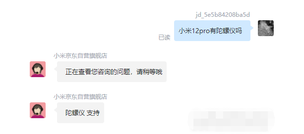 王中王一肖碼，探索關鍵詞背后的奧秘，王中王一肖碼，揭秘關鍵詞背后的奧秘