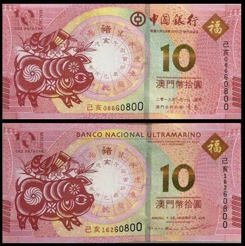澳門天天彩期期精準(zhǔn)十二生肖預(yù)測——揭秘彩票背后的秘密，澳門天天彩期期精準(zhǔn)十二生肖預(yù)測，彩票背后的秘密大揭秘