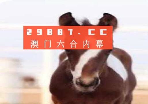澳門必開一肖一碼安穩(wěn)，揭秘彩票背后的秘密與策略，揭秘彩票背后的秘密與策略，澳門必開一肖一碼安穩(wěn)探討