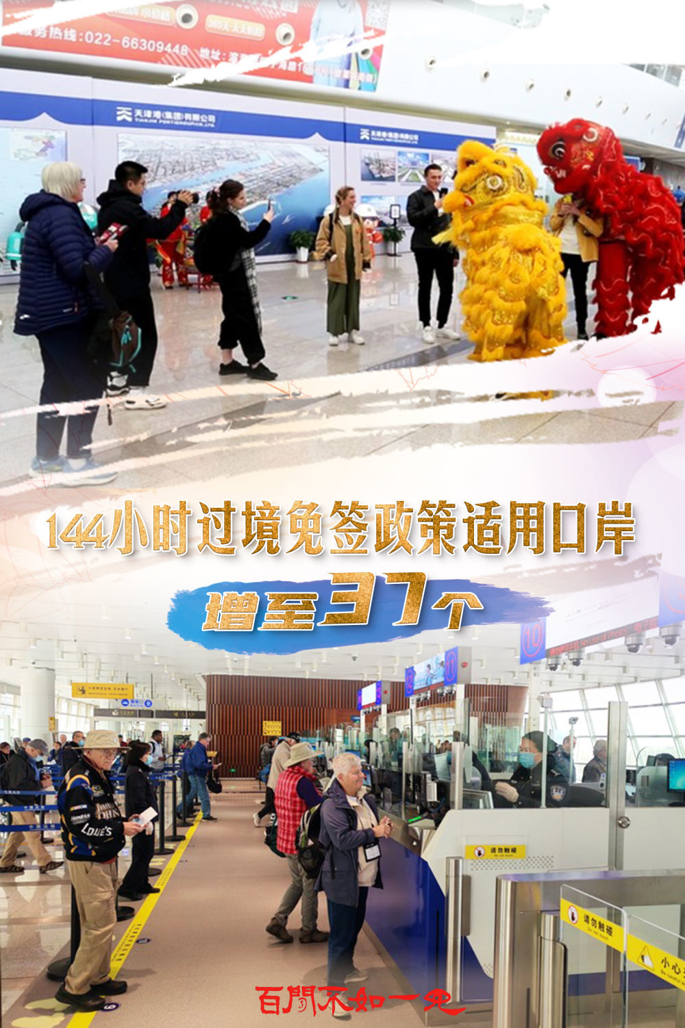 揭秘王中王一碼一肖一特一中，背后的秘密與玄機，揭秘王中王一碼一肖一特一中，背后的秘密與玄機揭秘真相