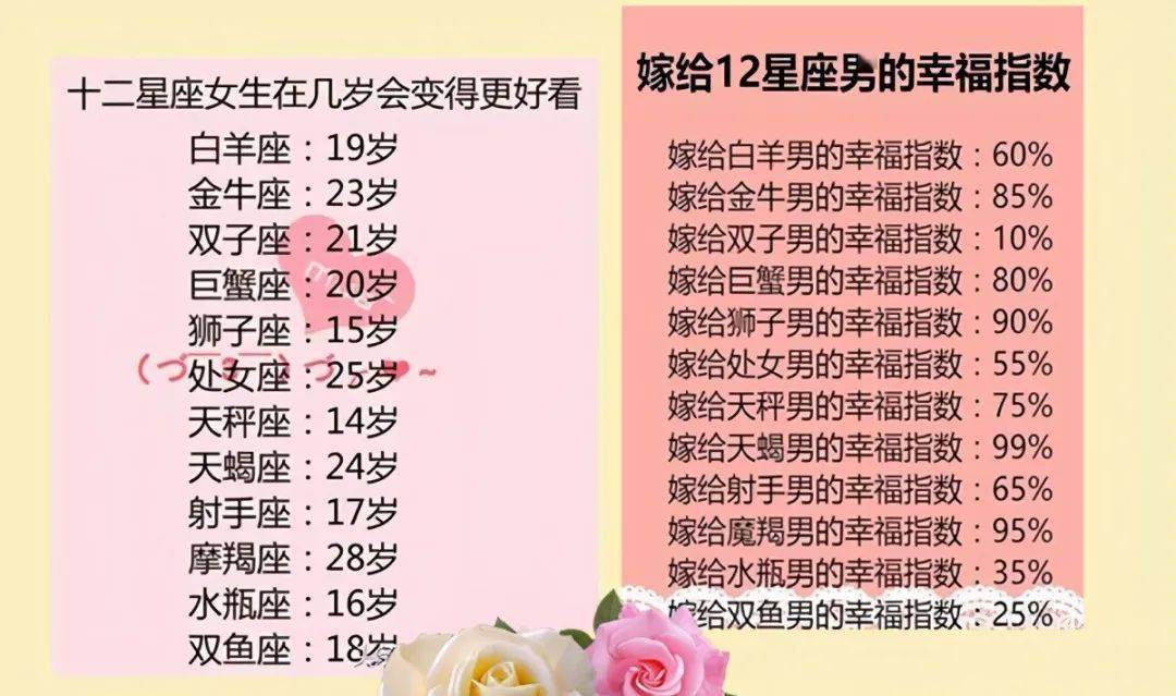 王中王十二生肖所屬之肖解析，王中王十二生肖解析揭秘