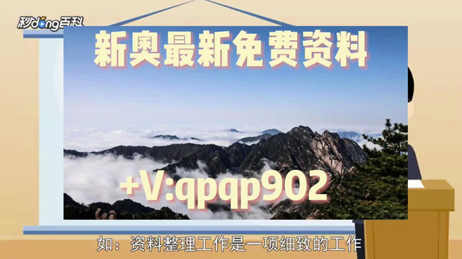 新奧49正版資料，全面解析與SEO優(yōu)化策略，新奧49正版資料詳解與SEO優(yōu)化策略探討
