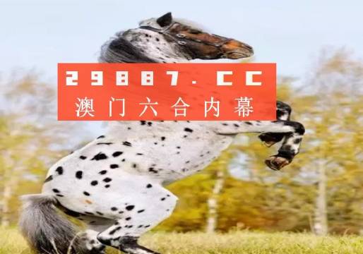 探索澳彩歷史開獎(jiǎng)結(jié)果，回顧與預(yù)測(cè)（2023年），回顧與預(yù)測(cè)，澳彩歷史開獎(jiǎng)結(jié)果探索（2023年）