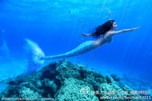澳門美人魚最快開獎結(jié)果圖——揭秘?zé)衢T彩票游戲背后的秘密，澳門美人魚彩票開獎揭秘，最新結(jié)果圖與游戲背后秘密探索