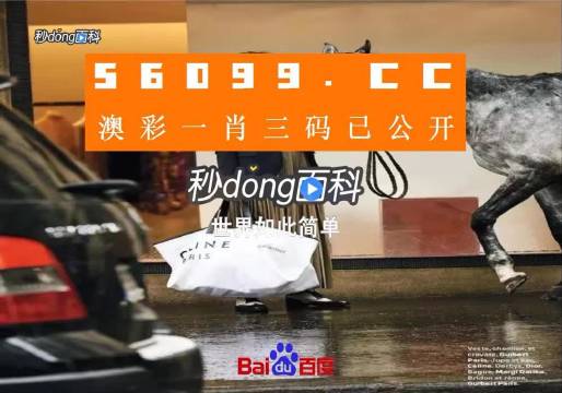 新澳一碼三中三資料，探索與解析，新澳一碼三中三資料解析與探索
