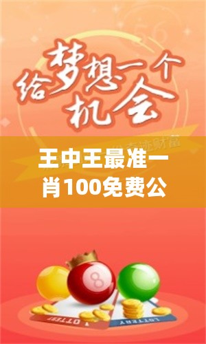 王中王一肖一嗎期期中，深度解析與探索，王中王一肖一，深度解析與探索期中的奧秘