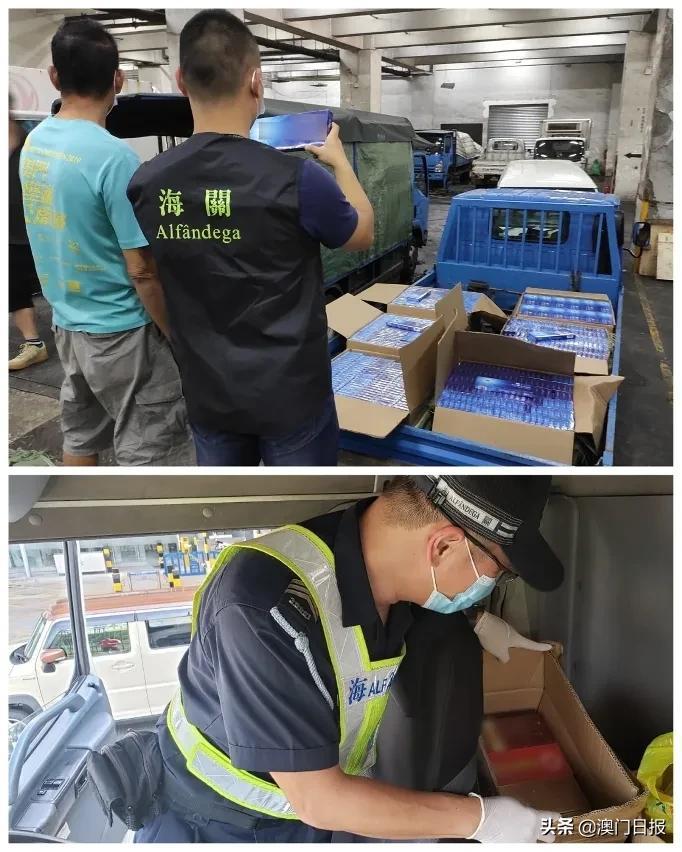 澳門今晚必開一肖080，揭秘生肖運勢與預測之謎，澳門今晚必開一肖揭秘，生肖運勢預測之謎開啟！