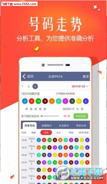 王中王四肖選一，揭秘選擇與優(yōu)化策略，王中王四肖選一，選擇與優(yōu)化策略的揭秘