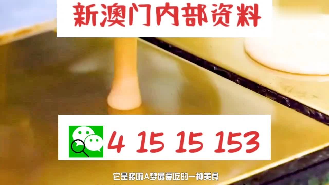 新澳門內(nèi)部十碼中特，探索與解析，新澳門內(nèi)部十碼中特，深度探索與解析