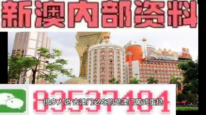 新澳門三中三碼精準(zhǔn)預(yù)測，揭秘成功概率背后的秘密與策略（附詳細(xì)解析），揭秘新澳門三中三碼成功預(yù)測背后的秘密與策略解析