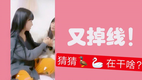 王中王欲錢詩猜一肖，王中王欲錢詩暗示的生肖之謎