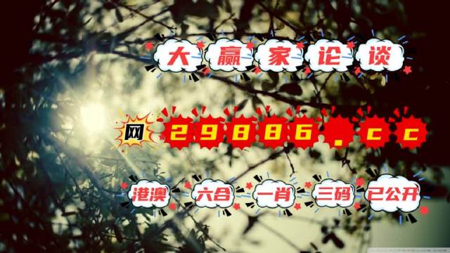 澳門今必開一肖一碼，深度解析與探索，澳門生肖一碼深度解析與探索